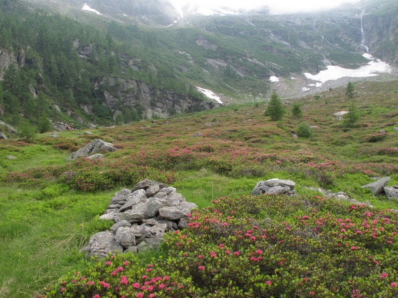 Valle Antrona e stambecchi equilibristi